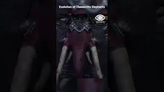 Thumbnail: Mammoths & Monster Elephants Size Comparison