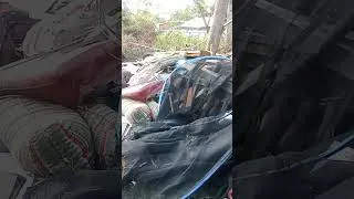 Thumbnail: Clean up update 2