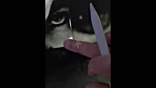 Thumbnail: sneak peek at another project I'm doing. #prince #art #drawing