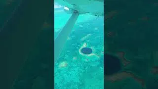 Thumbnail: When you finally cross the Great Blue Hole off your bucket list