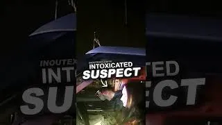Thumbnail: Drunk Driver Hits Cop Car During Traffic Stop