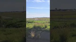 Thumbnail: We're back @InPlaneSightAU LIVE now at Adelaide Airport #qatar #planespotting #adelaide
