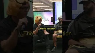 Thumbnail: At #RareEvo24, we sat down with projects building in the #Cardano ecosystem, including BeezHive.