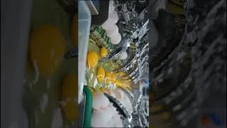 Thumbnail: Inside America's Mega Mayonnaise Factory | FDA Production Line#factory #shorts #shortvideo