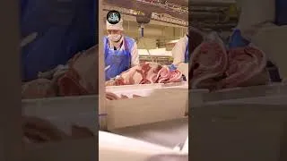 Thumbnail: Have you ever visited a modern pig processing plant like this? #shots