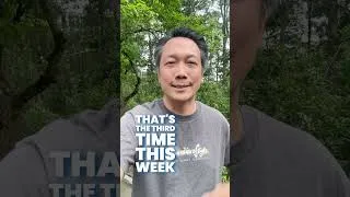 Thumbnail: "Sweeping" Tariffs Just LOWERED the Tariff Rate?
