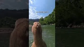 Thumbnail: Bro thinks he’s a professional BOAT DRIVER! 🚖🦆 | Insta360 GO Ultra