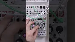 Thumbnail: Multigrain as a Granular Delay 🔊 #intellijel #multigrain #eurorack #granular