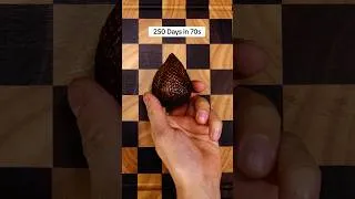 Thumbnail: This is how I grew my Snake Fruit from Seed in #timelapse
