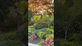Thumbnail: You’ll Want to Steal Every Idea From This Garden 🌿
