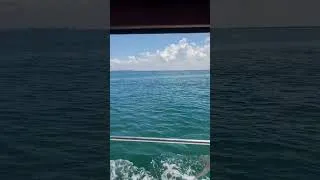 Thumbnail: Bacon while underway in the ocean
