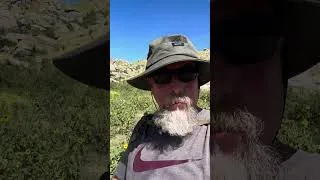 Thumbnail: Out for a beautiful morning, hike in Fontana, California ￼