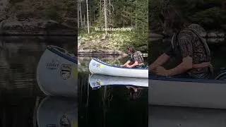 Thumbnail: The reflection is a mirror