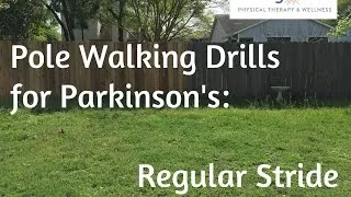 Thumbnail: Pole Walking Drills for Parkinson's - Regular Stride