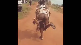 Thumbnail: (iOTV Africa VIDEO OF THE DAY) THE NCWALA CEREMONY GOT SHOOPED🤭😂😂😂😂.