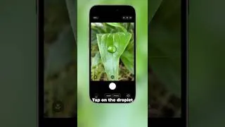 Thumbnail: Perfect Macro Shots On Your iPhone? 🤩 #iphonephotography #iphonecamera #macro