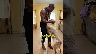 Thumbnail: The process of creating content with my dog