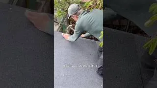 Thumbnail: Building a Shed Roof in the Rain | Outdoor Kitchen Part 3