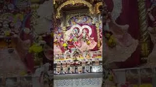 Thumbnail: HG Amogh Lila Prabhu having divine darshan of Shri Shri Radha Giridhari