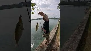 Thumbnail: 😱🐠🎣 CATCH FISH 🏝️🇵🇼 #fishing #micronesia #palau