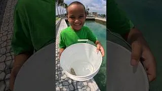 Thumbnail: 🐠🎣😂CATCH AND RELEASE 🏝️🇵🇼 #fishing #micronesia #palau