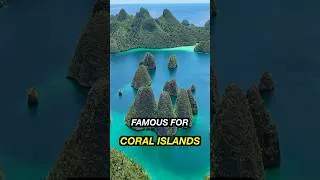 Thumbnail: Raja Ampat Known as “The Last Eden” is Majestic #shorts
