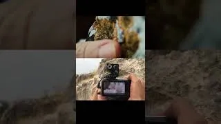 Thumbnail: Camera POV setup - bmpcc og