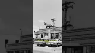 Thumbnail: Lakewood, Colorado: A Story of Lakes, Woods, and Community Spirit  #history #lakewood #colorado