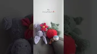 Thumbnail: I NEED MORE!!! #collection #jellycat #cleangirl #aesthetic #fyp #trinkets #haul