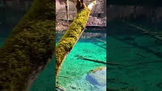 Thumbnail: Jiuzhaigou Doesn’t Look Real 🇨🇳 #Shorts #chinatravel #travel #solotravel #Jiuzhaigou #Sichuan