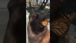Thumbnail: Meeting dogmeat for the first time #fallout #falloutmeme #new #fallouttvshow #shorts #video #short