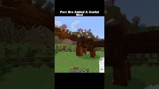 Thumbnail: Pov Bro Added A Useful Mod #minecraft