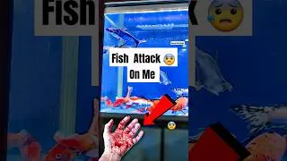 Thumbnail: Fish Ne Attack Kr Diya 😰😭