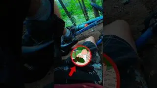 Thumbnail: Bar for bar