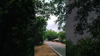 Thumbnail: Barish wala mousam🌧️⚡!! #rain #weather #ytshorts #shorts #shortsfeed #barish #viral #trending