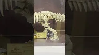 Thumbnail: Lego Jurassic Park T Rex