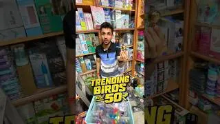 Thumbnail: Flying Bird Car Decor @ ₹50 Only 😍 Trending Car Accessory | AM Products #sowcarpet #cardecorations