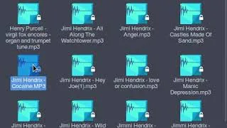 Thumbnail: The 2008 music piracy experience