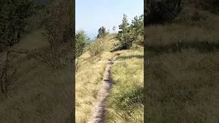 Thumbnail: Oštrc Hike | Quick Hiking Guide #hikingcroatia #hikingtrails #hikingguide