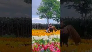 Thumbnail: I Found Happiness in the Simple Things #lifeinjapan #familyvlog