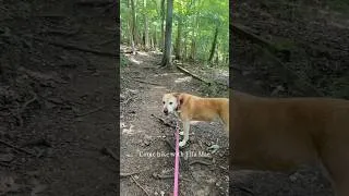 Thumbnail: Hiking with my dog was the best part of my weekend 🐾