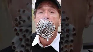 Thumbnail: Jim Mouth Breaks A World Record With His Huge Mouth