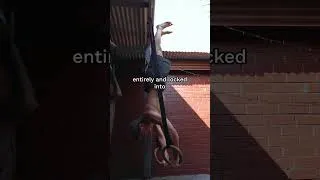 Thumbnail: Handstands - The strength-first approach