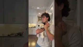 Thumbnail: Cuteness aggression be like #shorts