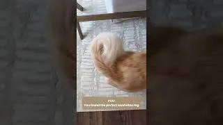 Thumbnail: Not only is this revival rug so soft - it’s also washable!!