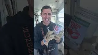 Thumbnail: Want to win free lobster for a year? Welcome to first Billion egg challenge