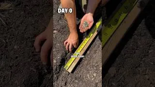 Thumbnail: Grow More Food Using Less Space In Your #garden