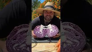 Thumbnail: Homegrown Cabbage Salad #recipe