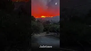 Thumbnail: Wildfires Force Mass Evacuations Near Bordeaux as Heat and Winds Fuel Crisis | Jadetimes