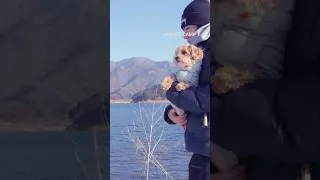 Thumbnail: A quiet snowy walk by the lake with Jadu ❄️🐶#camping  #ASMR #dog  #HealingVlog #WinterCamping